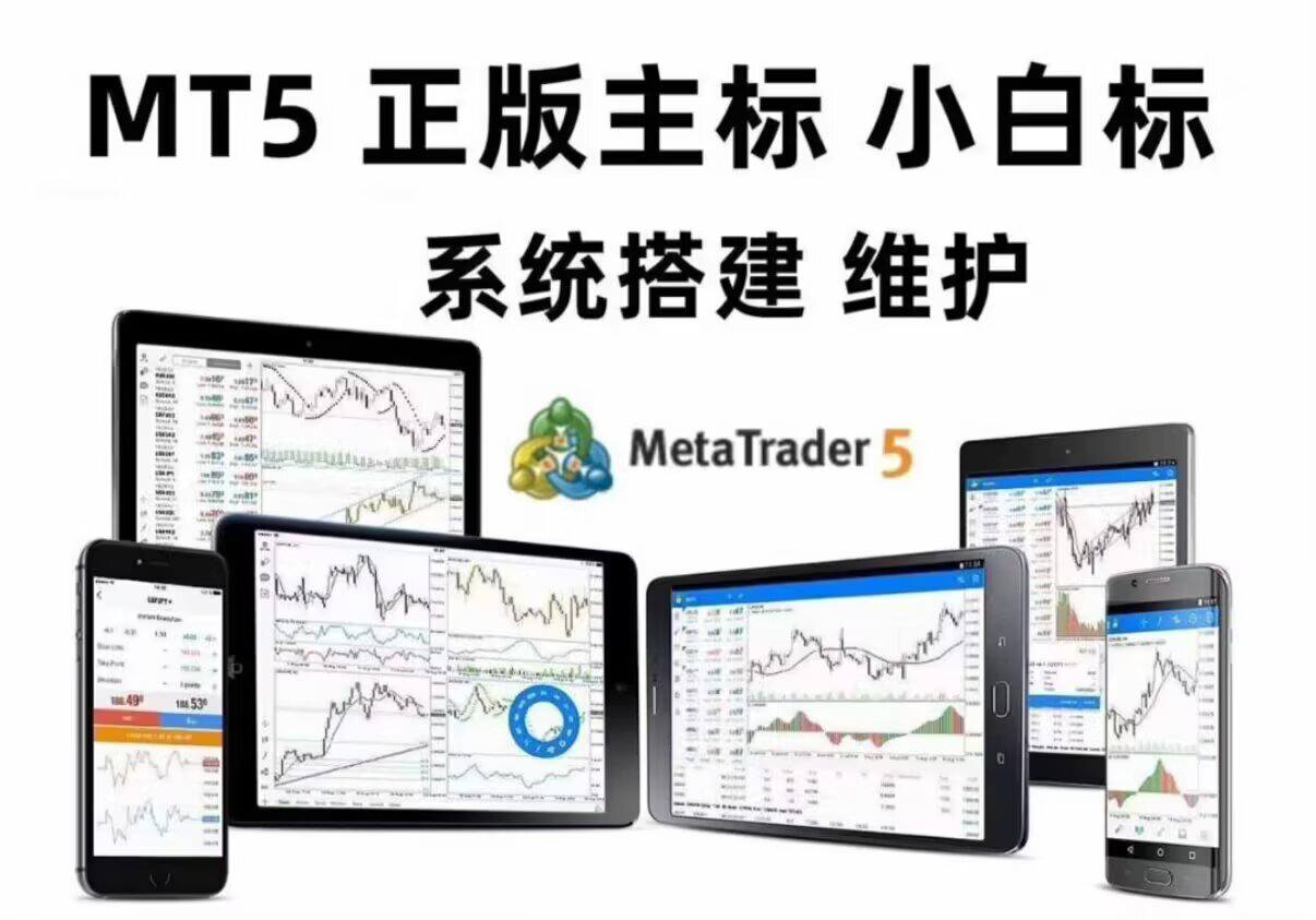 现在国内有靠谱的外汇交易平台-MT5搭建，MT5主标，mt5出租,mt5白标,mt5破解版,mt4破解版